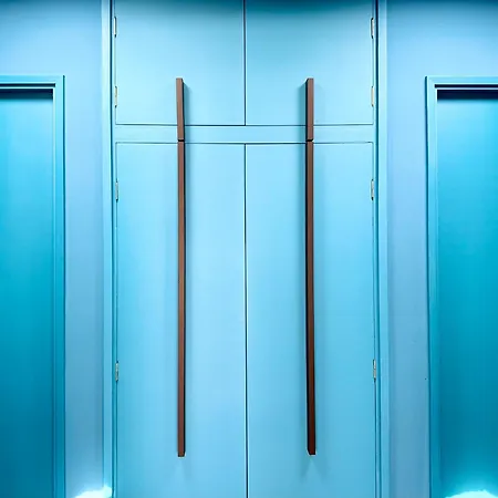 Vila Canaryislandshost L Origen *